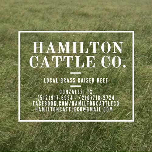 Hamilton Cattle Co.